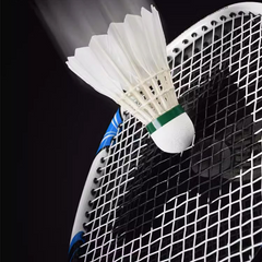 International Competition Class a Goose Feather Badminton Shuttlecock Professional Shuttlecocks for Tournament